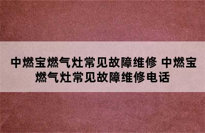 中燃宝燃气灶常见故障维修 中燃宝燃气灶常见故障维修电话